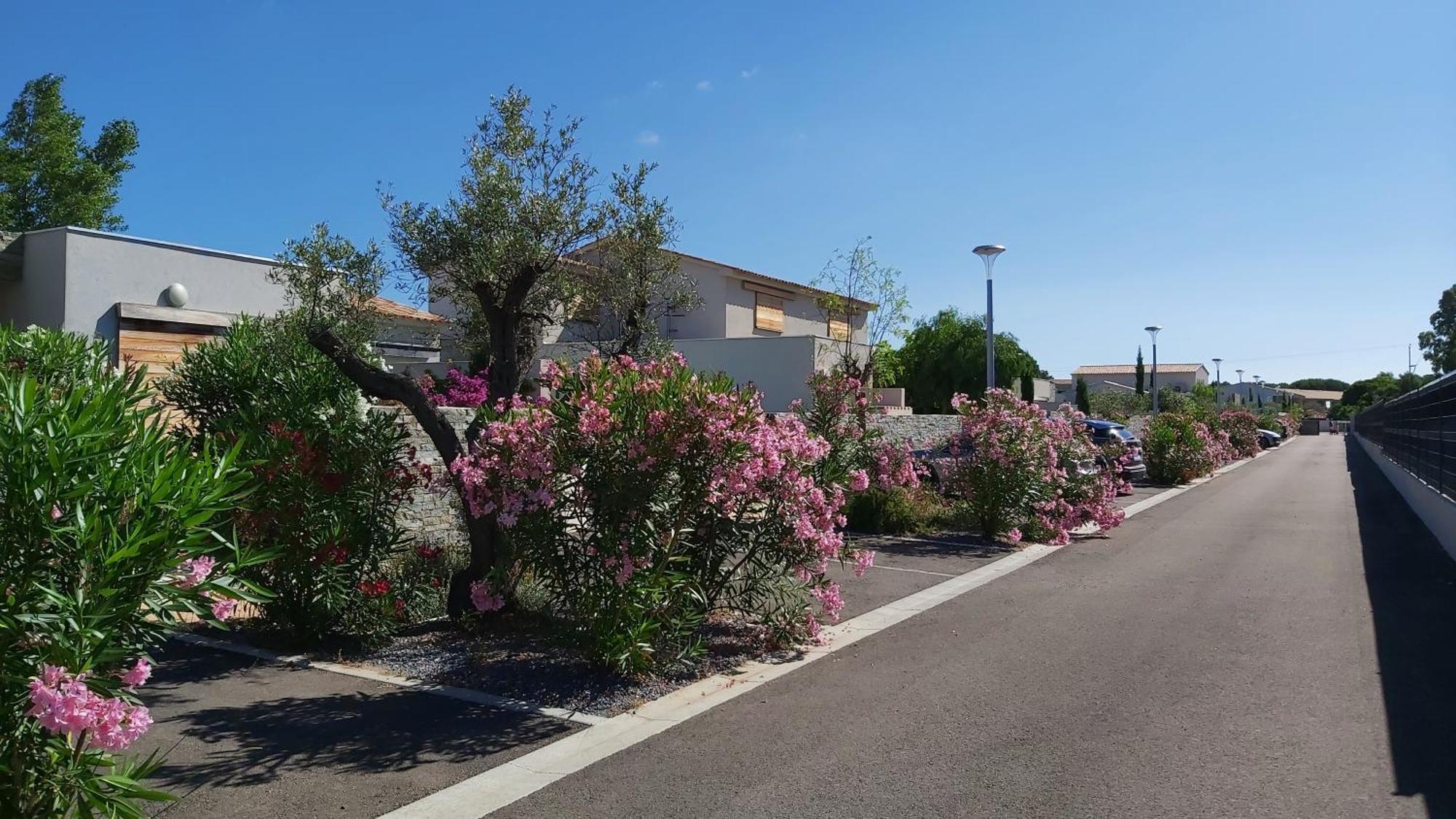Villa Home Holiday A Cala Rossa Lecci Buitenkant foto