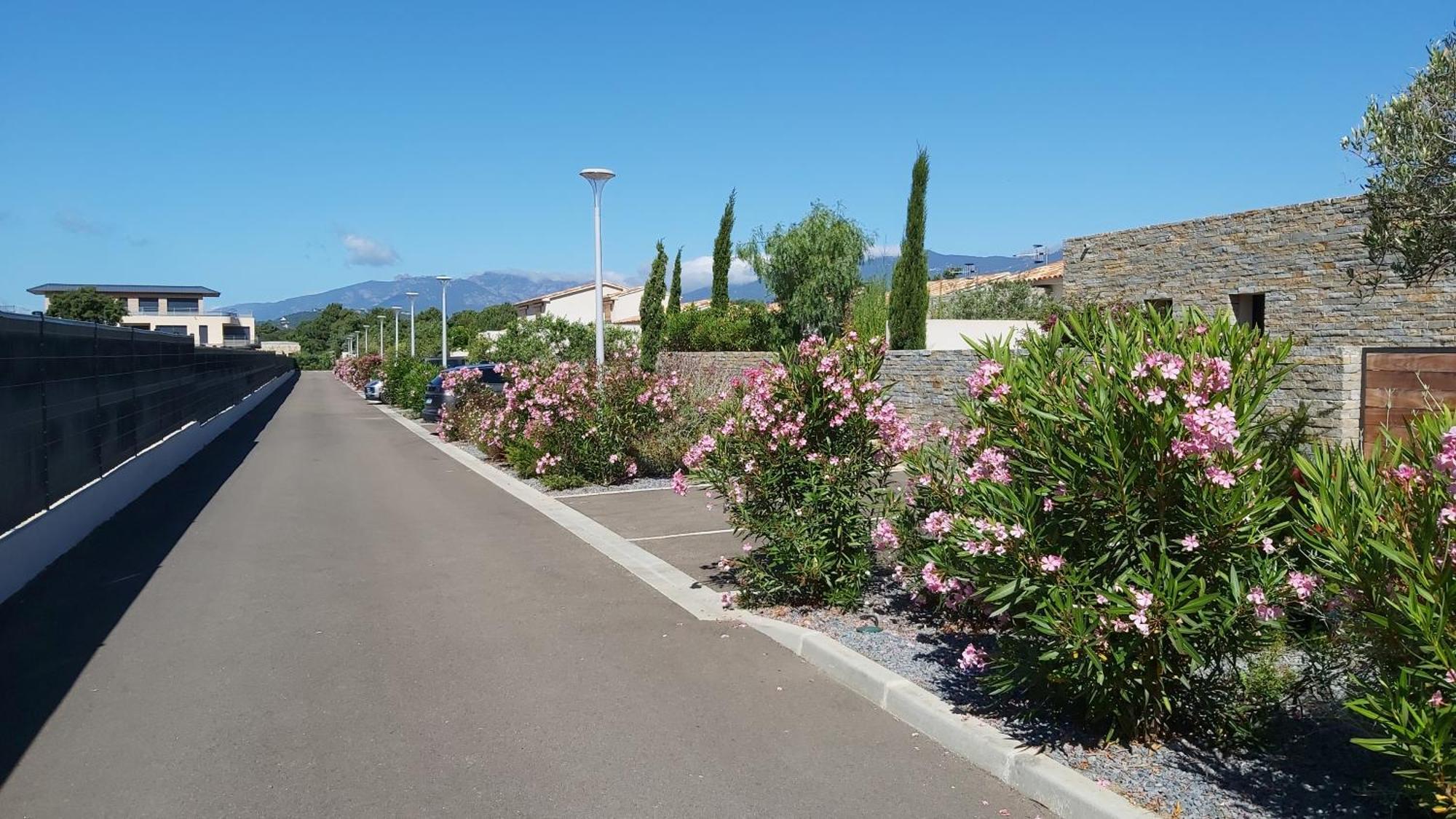 Villa Home Holiday A Cala Rossa Lecci Buitenkant foto